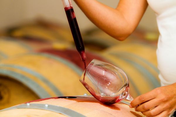 Wines of the Ribatejo